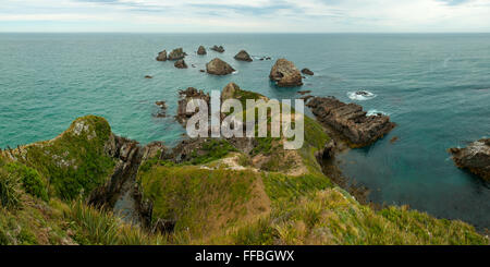 Nugget Point Panorama, le Sud, Catlins Otago, Nouvelle-Zélande Banque D'Images