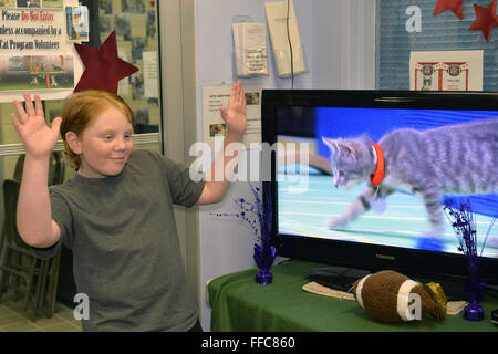 Wantagh, New York, USA. 7 Février, 2016. MIKE DAY, 13 bénévoles, de Wantagh, regarde comme si il donne des conseils à l'entraîneur joueur chaton gris avec le col rouge sur la TV en Hallmark Channel Chaton Bowl III. Au dernier espoir de Secours Animal Open House, les invités d'encourager leur équipe, le dernier espoir des Lions, dont la petite tabby szücs membre. Plus de 100 chatons adoptables du dernier espoir de l'Inc et de la Côte-Nord Ligue des animaux d'Amérique ont participé aux jeux pretaped, et l'accueil et de la famille des félins a remporté le championnat 2016, qui est d'abord diffusé le jour de Super Bowl 50. (Crédit Image : © Ann Parry Banque D'Images