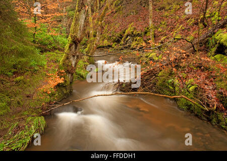 Le flux de Fairy Glen Banque D'Images