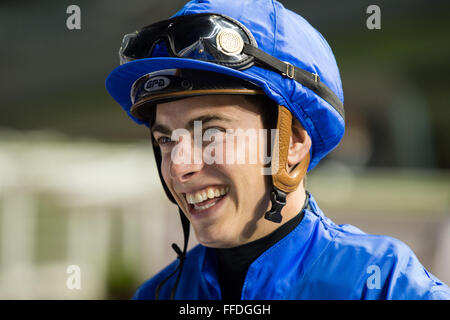 Meydān, 11 février, 2016. James Doyle avant les EAU 1000 guinées à Meydan dans la Coupe du Monde de Dubaï Carnival Crédit : Tom Morgan/Alamy Live News Banque D'Images