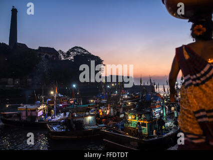 Mumbai, Inde. 12 Février, 2016. Bateaux de pêche à quai à quai Sassoon pour décharger des fruits de mer dans le sud de Mumbai, Inde, le 12 février 2016. Sassoon Dock, créé en 1875 et nommé d'après la célèbre famille Sassoon, fut le premier bassin à flot dans l'ouest de l'Inde et a contribué à la création de la filière coton. Il se tourna vers un quai de poisson à la fin du 19e siècle et maintenant, c'est toujours le principal centre commercial et de chargement du poisson dans le sud de Mumbai. © Bi Xiaoyang/Xinhua/Alamy Live News Banque D'Images