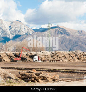 Stockage des journaux pour l'industrie du bois. Une grue se charge des camions pour le transport de billes, à l'arrière-plan les montagnes. Banque D'Images