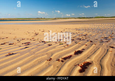 Sandside Bay, Caithness, en Écosse. Banque D'Images