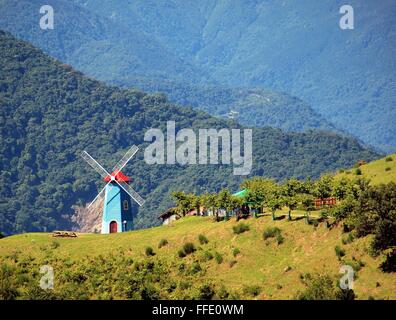 Un luxuriant pré alpin avec un moulin à vent et les montagnes en arrière-plan Banque D'Images