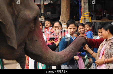 Guwahati, Inde du nord-est de l'état d'Assam. 12 Février, 2016. Les dévots offrent des prières à un éléphant à un temple de Seigneur Ganesha, le dieu à tête d'éléphant largement adoré par les Hindous, à Guwahati, capitale de l'Inde du nord-est de l'état de l'Assam, le 12 février 2016. Credit : Stringer/Xinhua/Alamy Live News Banque D'Images