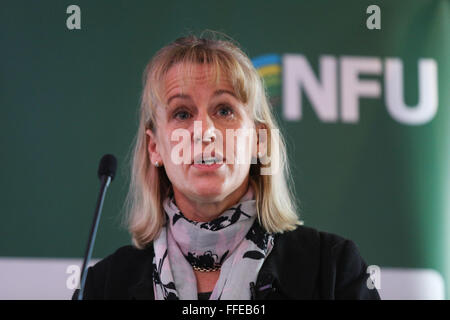 Minette Batters, Vice-président de l'Union nationale des agriculteurs du Nord, prend la parole lors de la Conférence 2016 de boeuf et de moutons. Banque D'Images