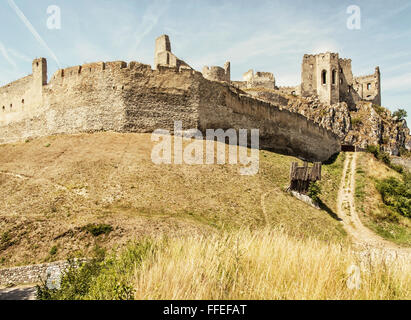 Ruines du château de Beckov en République slovaque. Herbe séchée dans le pré. Destination de voyage. Banque D'Images