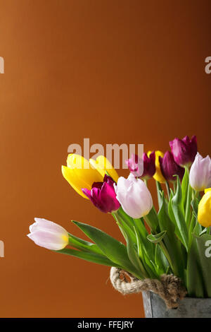 Les fleurs de printemps dans la benne, les tulipes Banque D'Images