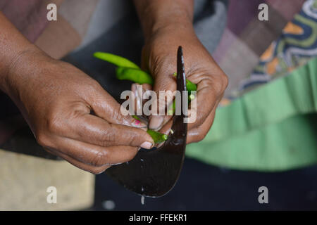 Mumbai, Inde - le 28 octobre 2015 - coupe femme piment et oignons sur un tabouret dans la coupe traditionnelle cuisine indienne Banque D'Images