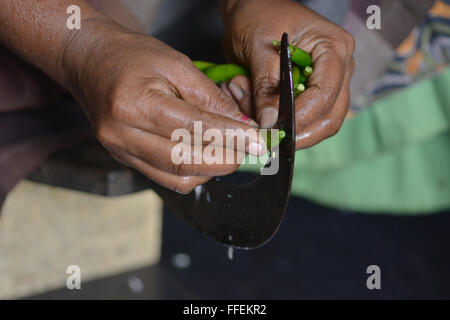 Mumbai, Inde - le 28 octobre 2015 - coupe femme piment et oignons sur un tabouret dans la coupe traditionnelle cuisine indienne Banque D'Images