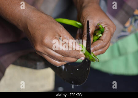 Mumbai, Inde - le 28 octobre 2015 - coupe femme piment et oignons sur un tabouret dans la coupe traditionnelle cuisine indienne Banque D'Images