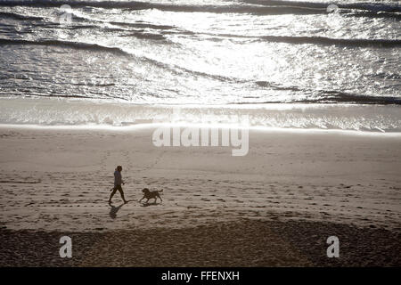 Un chien walker marche à travers la plage de Baie de Holywell, North Cornwall, dans la lumière du soir Banque D'Images