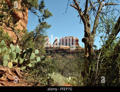 Sentier pour rock art alcôve lieu de cérémonie pour les personnes liées à tribue Sinagua Indiens Hopi,tribu Hopi est Palatki pour "Red House". Banque D'Images