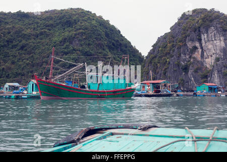 Village flottant de Cát Bà, Vietnam. Banque D'Images