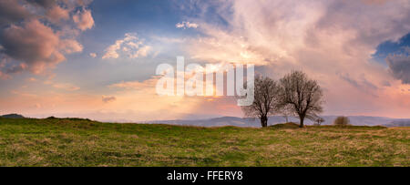 Soirée de printemps ensoleillé. Coucher du soleil dans les montagnes Carpates Avril Banque D'Images