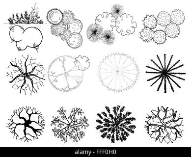 Un ensemble de silhouettes d'arbres , pour l'architecture ou la conception de paysage, noir et blanc Illustration de Vecteur