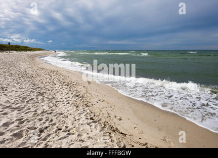 Plage, côte de la mer Baltique, Darßer Ort près de Prerow, Darß, Fischland-darss-Zingst, Poméranie occidentale Lagoon Salon National Park Banque D'Images