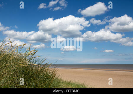 Voir l'herbe des dunes et de la plage de sable fin sur une journée ensoleillée avec ciel bleu et de beaux nuages blancs, Mablethorpe Beach, Lincolnshire, Angleterre, RU Banque D'Images