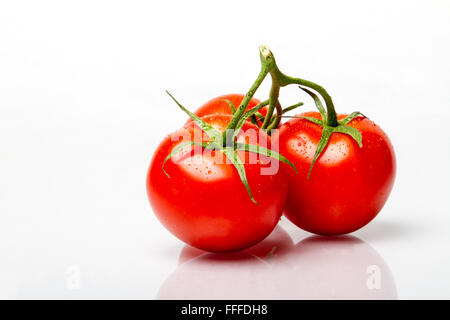 Trois frais mûrs de tomate rouge sur la vigne avec de la rosée sur eux Banque D'Images