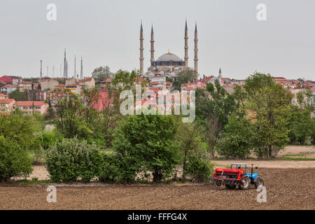 Domaine agricole et mosquée Selimiye, Edirne, la Province d'Edirne, Turquie Banque D'Images