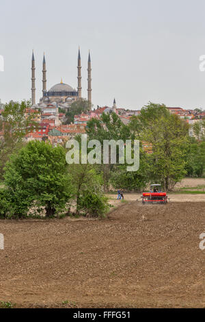 Domaine agricole et mosquée Selimiye, Edirne, la Province d'Edirne, Turquie Banque D'Images
