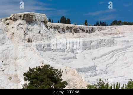 Terrasse en travertin, Pamukkale, Turquie, province de Denizli Banque D'Images