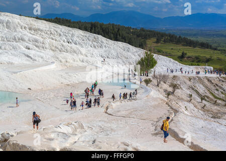 Terrasse en travertin, Pamukkale, Turquie, province de Denizli Banque D'Images