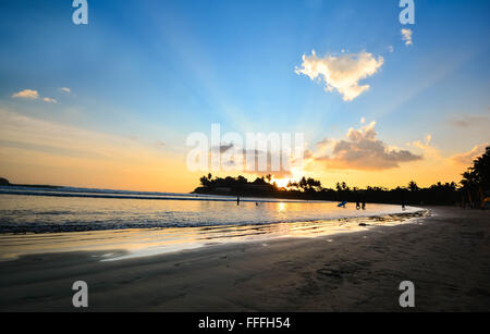 Belle plage tropicale au Sri Lanka. Banque D'Images