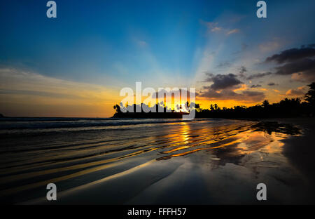 Belle plage tropicale au Sri Lanka. Banque D'Images