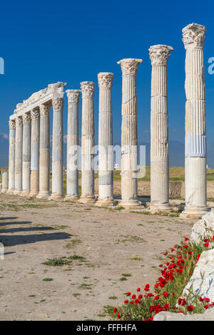 Ruines de l'ancienne Laodicée sur le Lycus, province de Denizli, Turquie Banque D'Images