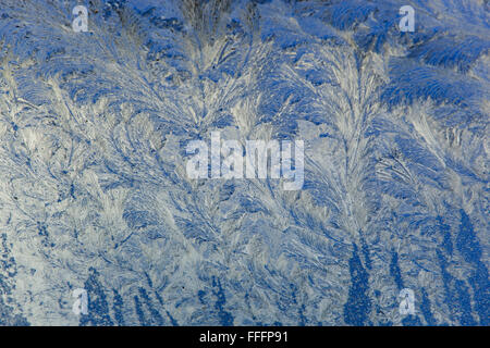Modèle de givre sur la fenêtre ; hiver ; UK Banque D'Images