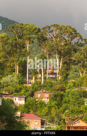 Gagra, Abkhazie, Géorgie Banque D'Images