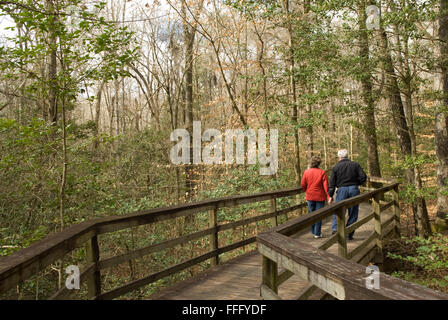 Couple de personnes âgées de race blanche (60 à 70 ans) tenant les mains tout en marchant sur la passerelle du sentier du parc national Congaree, États-Unis. Banque D'Images