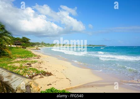 Long Bay Beach à Portland, Jamaïque Banque D'Images