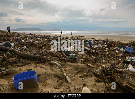 South Wales, UK. Feb 13, 2016. Le résultat de ces coups de vent et les hautes marées laissent une traînée de pollution, y compris les plastiques, échoués sur les sables bitumineux Pembrey (Cefn Sidan), Pembrey Country Park, près de Llanelli, Carmarthenshire, Pays de Galles, Royaume-Uni. Au milieu des débris sont Soft-Shell palourdes ou sable Gapers (Mya arenaria) de la baie de Carmarthen, également bloqués par la marée haute. © Algis Motuza/Alamy Live News Crédit : Algis Motuza/Alamy Live News Banque D'Images