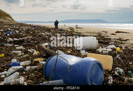 South Wales, UK. Feb 13, 2016. Le résultat de ces coups de vent et les hautes marées laissent une traînée de pollution, y compris les plastiques, échoués sur les sables bitumineux Pembrey (Cefn Sidan), Pembrey Country Park, près de Llanelli, Carmarthenshire, Pays de Galles, Royaume-Uni. Au milieu des débris sont Soft-Shell palourdes ou sable Gapers (Mya arenaria) de la baie de Carmarthen, également bloqués par la marée haute. © Algis Motuza/Alamy Live News Crédit : Algis Motuza/Alamy Live News Banque D'Images