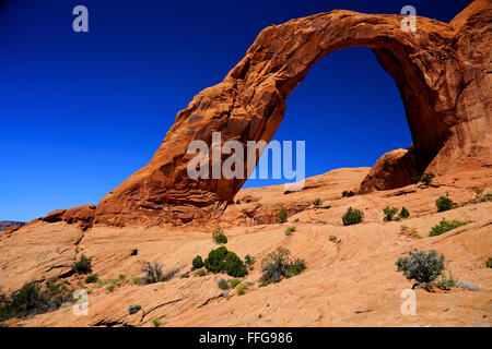 Corona Arch Moab Utah Banque D'Images