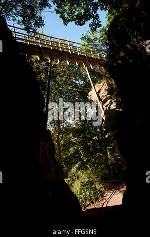 Swiss Bridge, Hawkstone Park Follies, Weston-under-Redcastle, Shropshire, Angleterre, Europe Banque D'Images