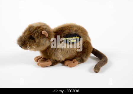 Souvenirs du GTMO Guantanamo Cuba toy furry rat banane Banque D'Images