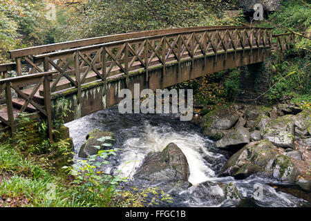 Pont sur la rivière East Lyn Banque D'Images