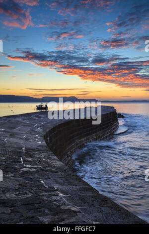 La Cobb à Lyme Regis, sur la côte sud du Dorset, capturé au lever du soleil en septembre. Banque D'Images