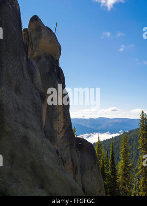 Président du diable, l'érosion le long de la formation rock Lolo sentier dans la forêt nationale de Clearwater, Florida, United States. Banque D'Images