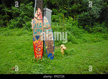 Planches de surf respect Andy Irons, célèbre compétition professionnelle qui sont morts avant de surfer son temps Banque D'Images