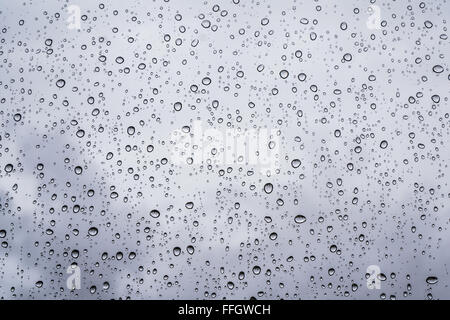 Gouttes de pluie sur un panneau de verre Banque D'Images