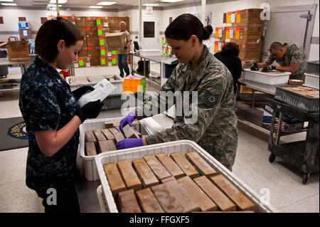 L'Hôpital de la marine de 2e classe Corpsman Kristin Bovaird et Tech. Le Sgt. Ursula Widener, les deux techniciens de laboratoire, de vérifier les unités de sang congelé à l'ASWBL-est de l'installation. Banque D'Images