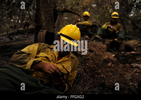 Vandenberg Air Force Base Hot Shot fire fighter Chris Loung regarde son téléphone pendant une pause déjeuner de l'équipe de couper une ligne de feu le 28 juin 2012 dans la région de Mount Saint François de Colorado Springs (Colorado), tout en aidant à combattre plusieurs incendies dans la région de Waldo Canyon. Le Canyon Waldo a pris de l'incendie 18 500 acres et brûlé plus de 300 maisons. En ce moment, plus de 90 pompiers de l'Académie, ainsi que des actifs d'Air Force Space Command, F.E. Warren Air Force Base, Wyo. ; Fort Carson, Colorado ; et la communauté locale continuent à lutter contre les incendies Canyon Waldo. Banque D'Images