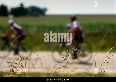 Les participants passent par RAGBRAI de champs de maïs, de soja et de foin le long de leur itinéraire. L'Assemblée sept jours à vélo à travers l'état est dans sa 40e année, et RAGBRAI est la plus ancienne et la plus longue, la plus grande manifestation de cyclotourisme dans le monde Banque D'Images