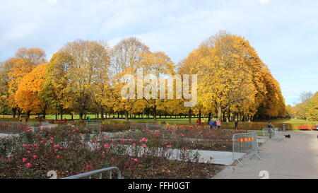 Un jour d'automne dans le parc Vigeland à Oslo, Norvège Banque D'Images