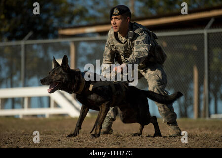 Le s.. Mark Devine, un conducteur de chien de travail militaire du 802 e Escadron des Forces de sécurité, se prépare à libérer JJany au cours d'un exercice à l'agression contrôlée Joint Base San Antonio-Lackland. Devine et militaire de chiens de travail affecté à JBSA-Lackland remplissent les exigences de l'application de la loi tous les jours ou en train de rester prêt à la mission. Banque D'Images