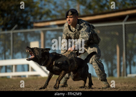 Le s.. Mark Devine se prépare à libérer JJany au cours d'un exercice à l'agression contrôlée Joint Base San Antonio-Lackland. Devine est un , un conducteur de chien de travail militaire affecté à la 802ème escadron des Forces de sécurité. Les conducteurs de chien de travail militaire affecté à JBSA-Lackland remplissent les exigences de l'application de la loi tous les jours ou en train de rester prêt à la mission. Banque D'Images